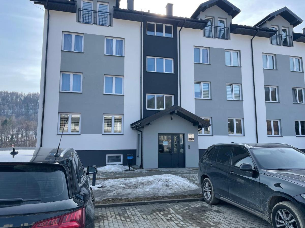 Modern Apartment Ustrzyki Dolne